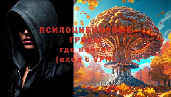 дмт Аркадак