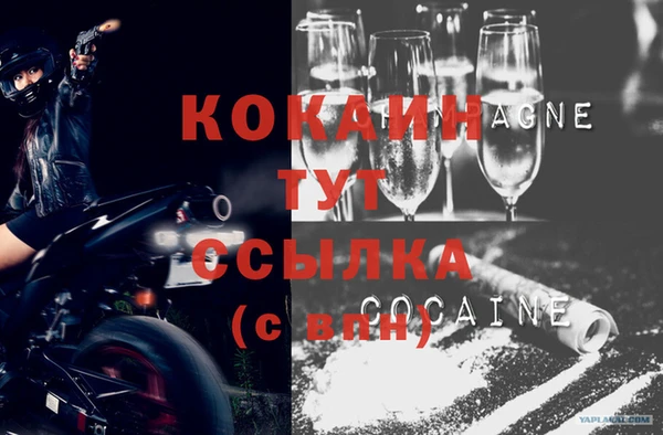 дживик Арсеньев