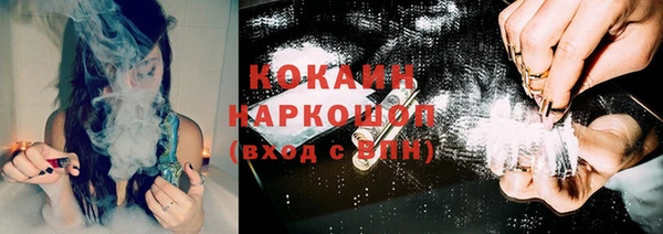 дмт Аркадак