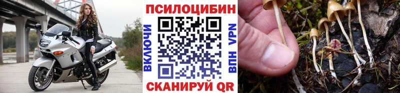 Галлюциногенные грибы GOLDEN TEACHER  Усть-Джегута 